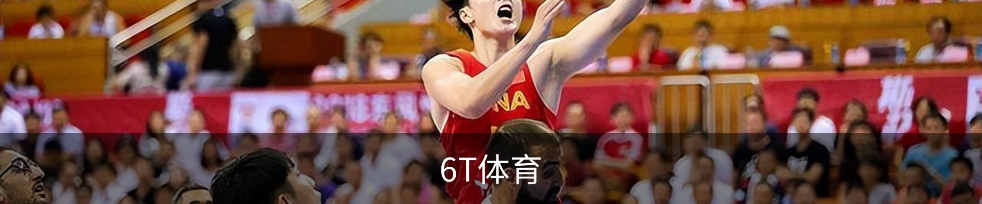 6T体育